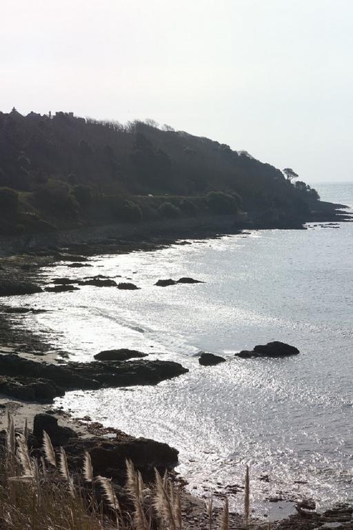 Park View Townhouse Hotel Falmouth Buitenkant foto